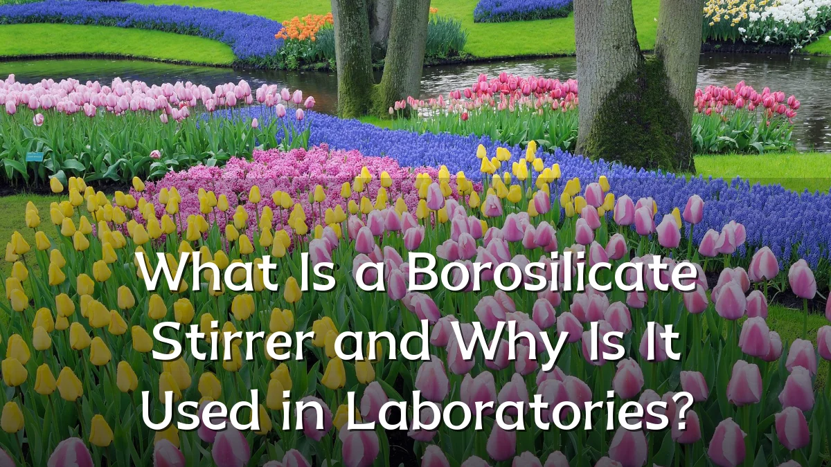 What Is a Borosilicate Stirrer and Why Is It Used in Laboratories?