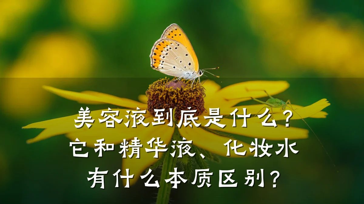 美容液到底是什么?它和精华液、化妆水有什么本质区别?