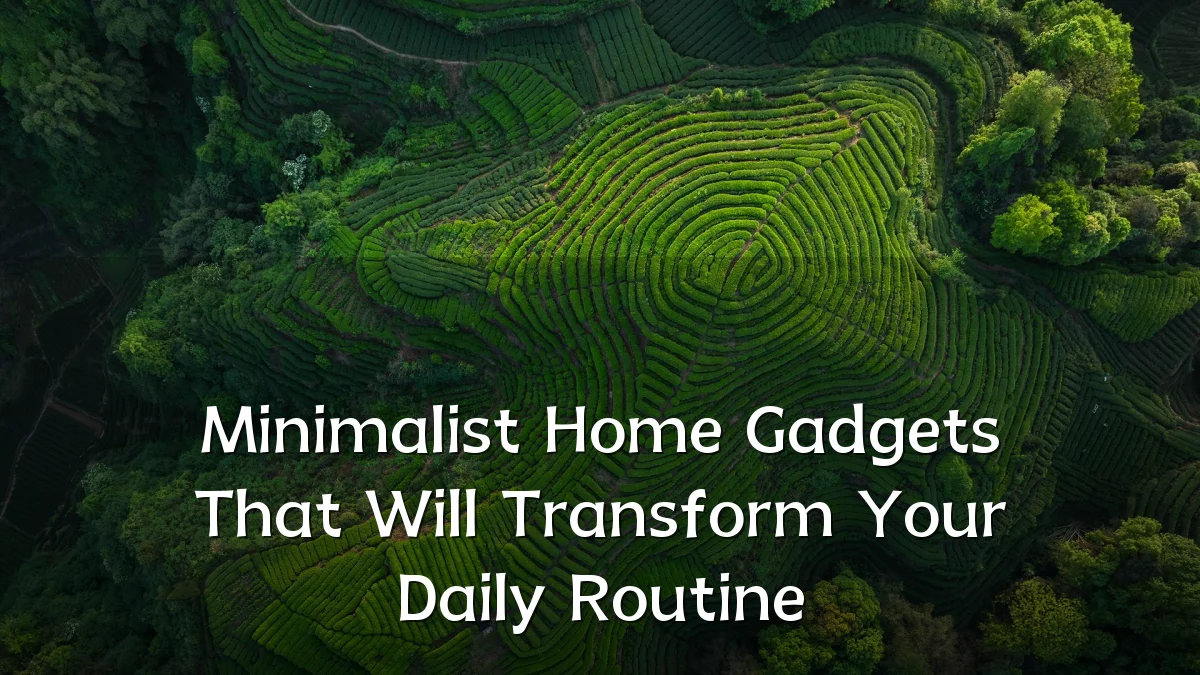 Minimalist Home Gadgets That Will Transform Your Daily Routine