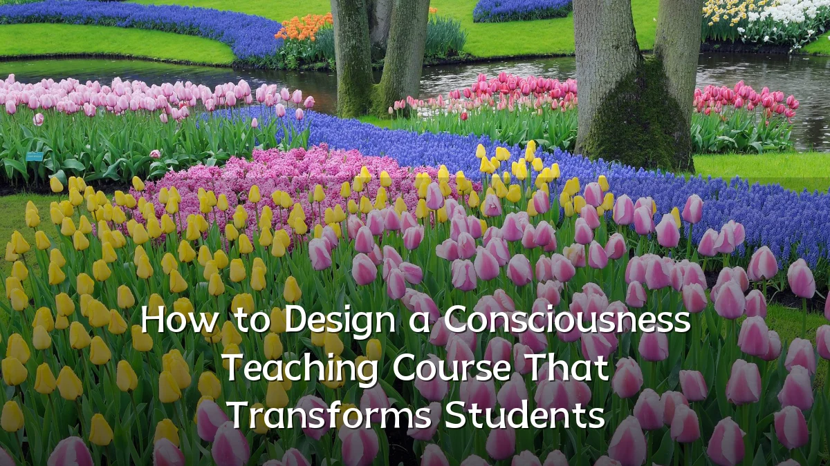 How to Design a Consciousness Teaching Course That Transforms Students