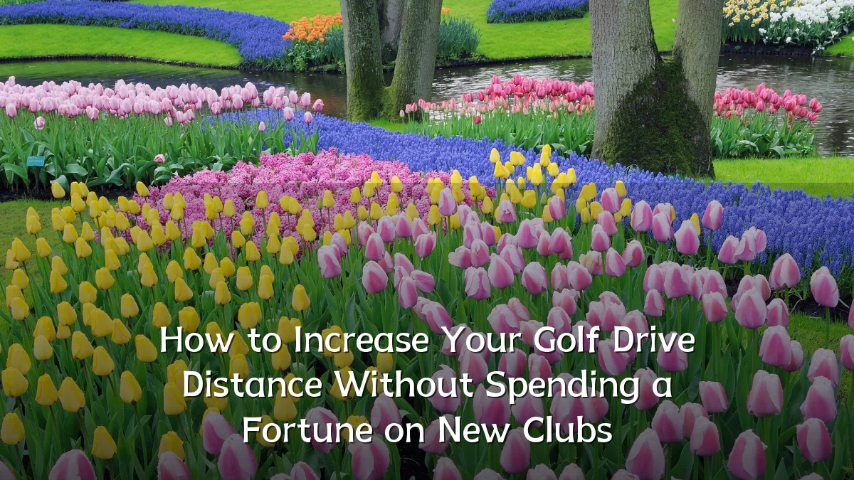 How to Increase Your Golf Drive Distance Without Spending a Fortune on New Clubs