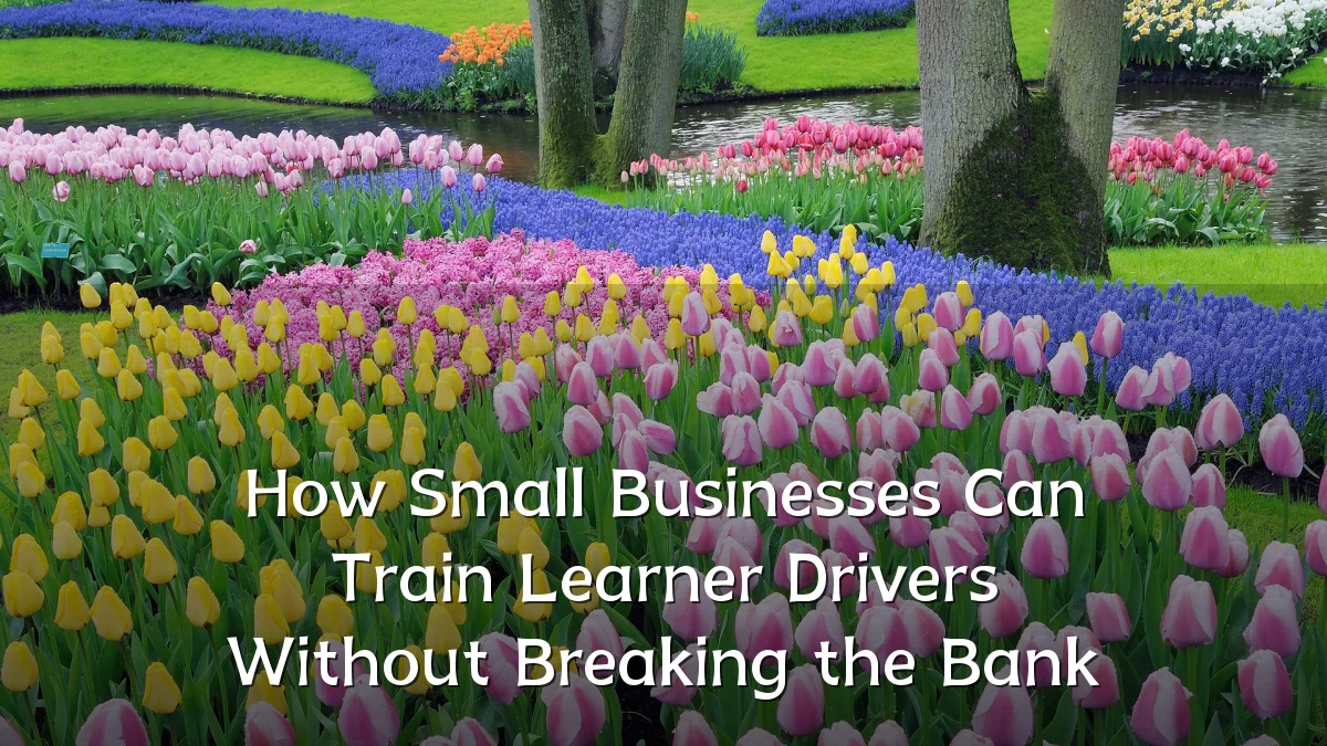 How Small Businesses Can Train Learner Drivers Without Breaking the Bank