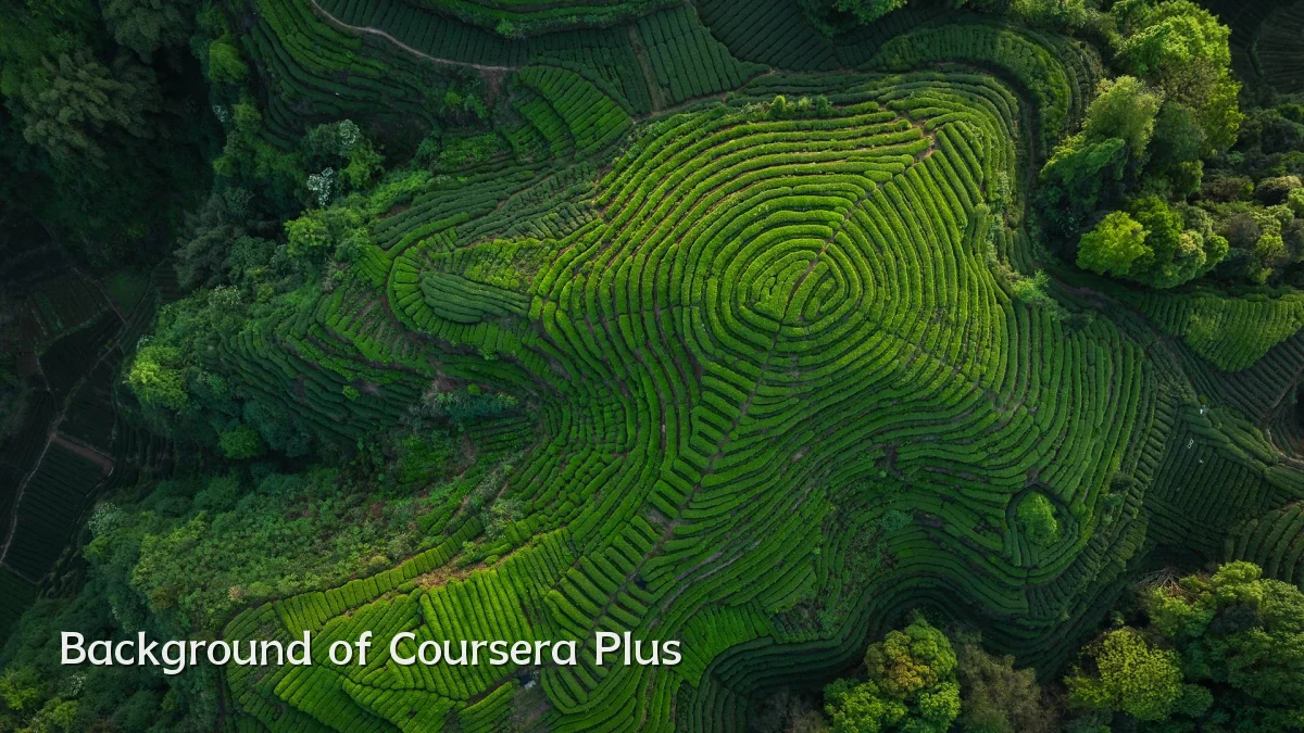 Background of Coursera Plus
