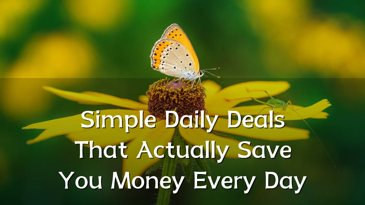 Simple Daily Deals That Actually Save You Money Every Day