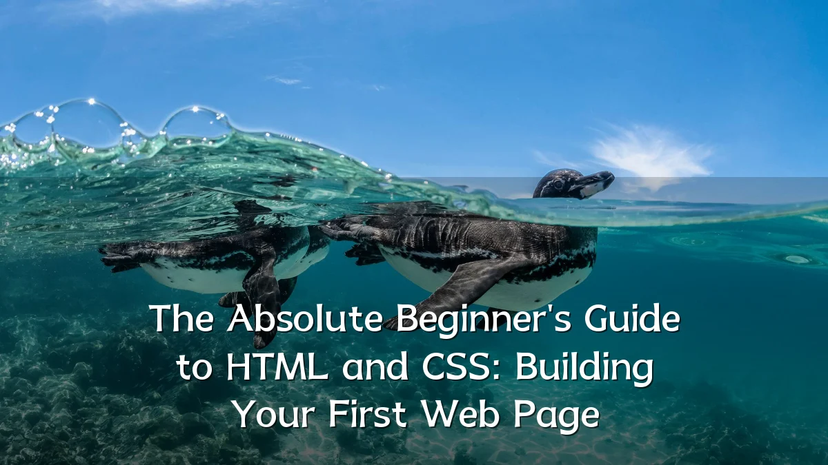 The Absolute Beginner's Guide to HTML and CSS: Building Your First Web Page