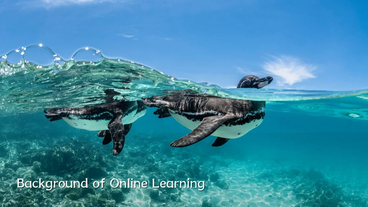 Background of Online Learning