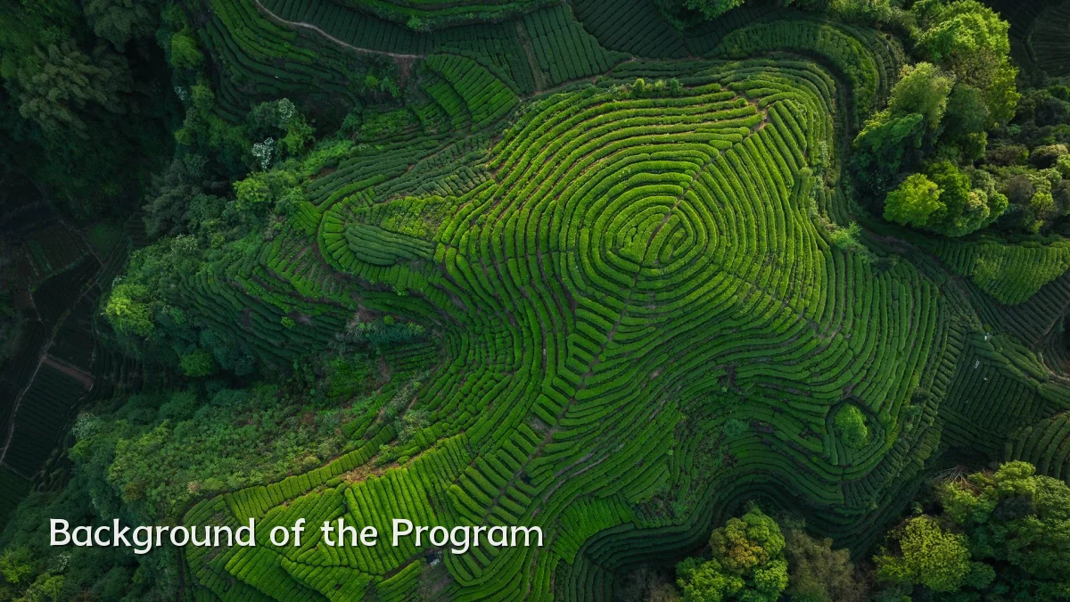 Background of the Program