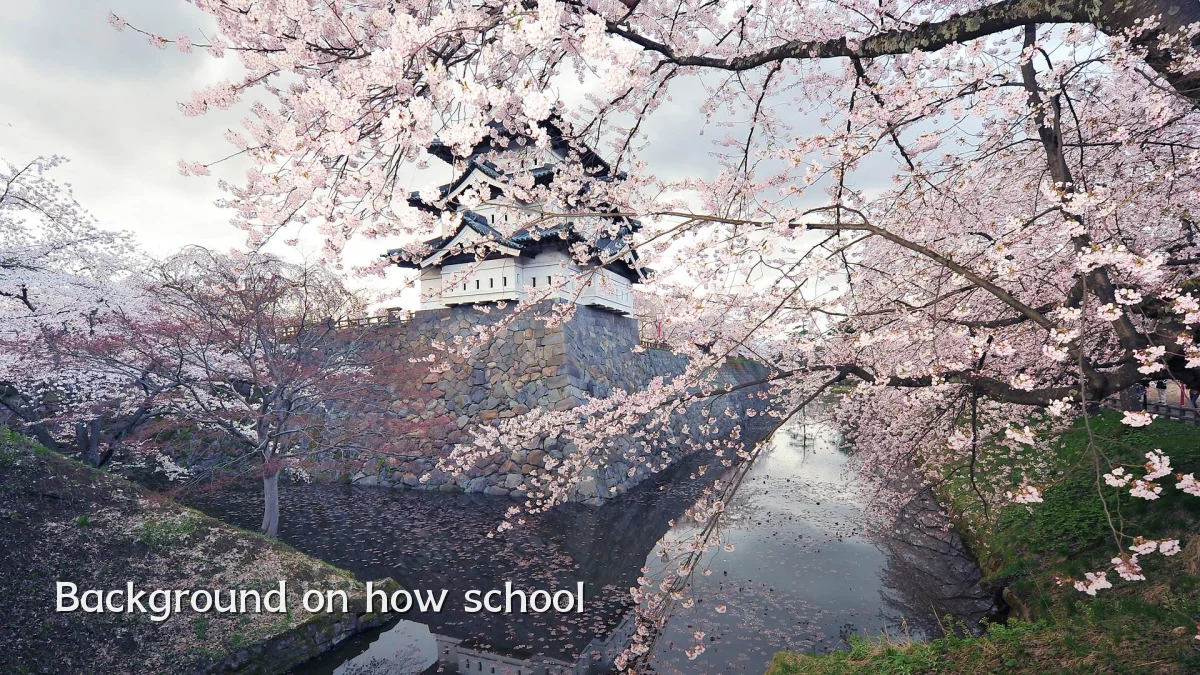 Background on how school