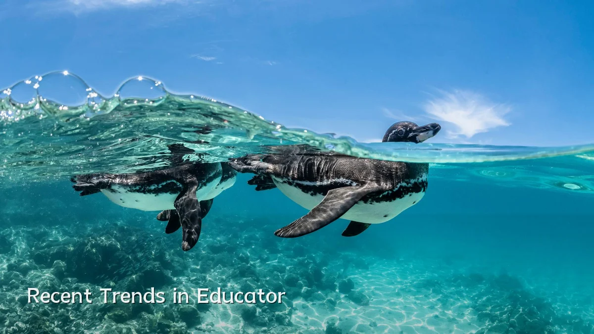 Recent Trends in Educator
