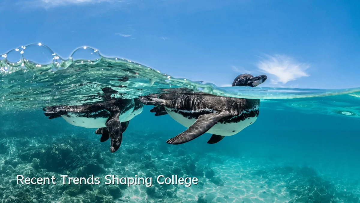 Recent Trends Shaping College