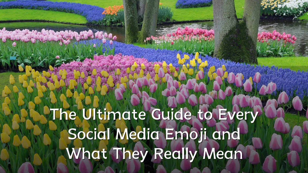 The Ultimate Guide to Every Social Media Emoji and What They Really Mean