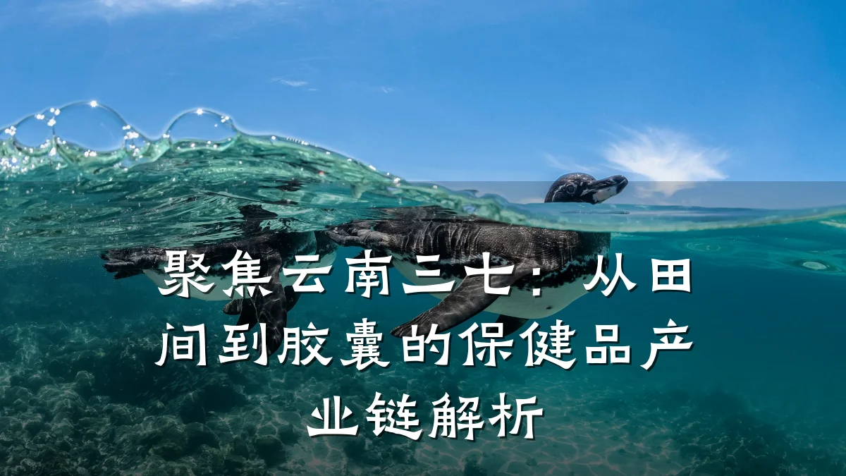 聚焦云南三七：从田间到胶囊的保健品产业链解析